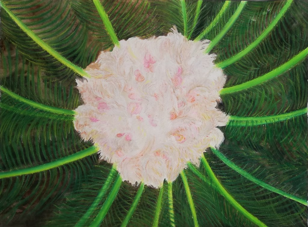 "Cycas" pastel sur papier, 50x75cm, mai 2022